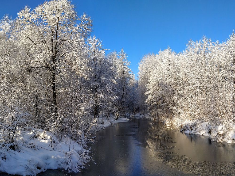 Photograph by Светлана Кондрашова