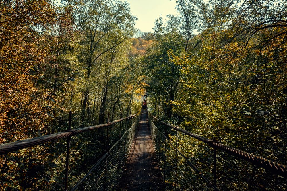 Photograph by EKATERINA WALTER