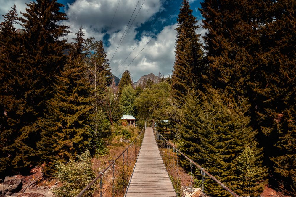 Photograph by EKATERINA WALTER