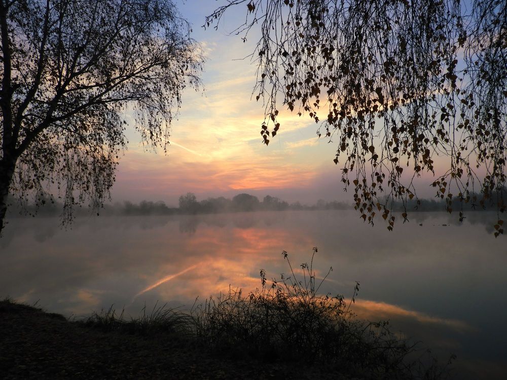 Фотография автора Bastini Gabriele