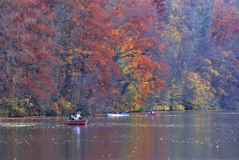 Photograph by Kálmán Rádai