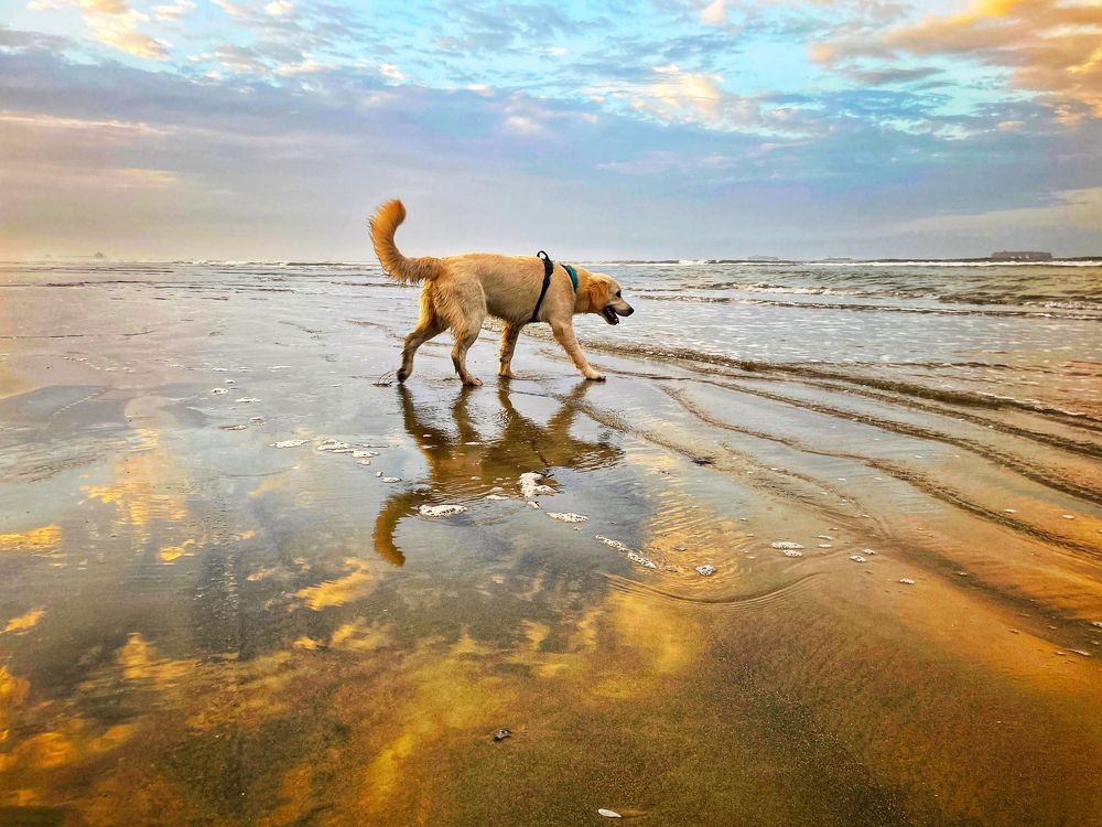 Photograph by Stephanie E’amato