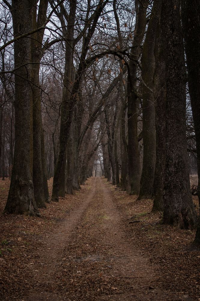Photograph by Надежда Ржевская