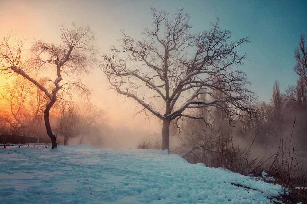 Photograph by EKATERINA WALTER