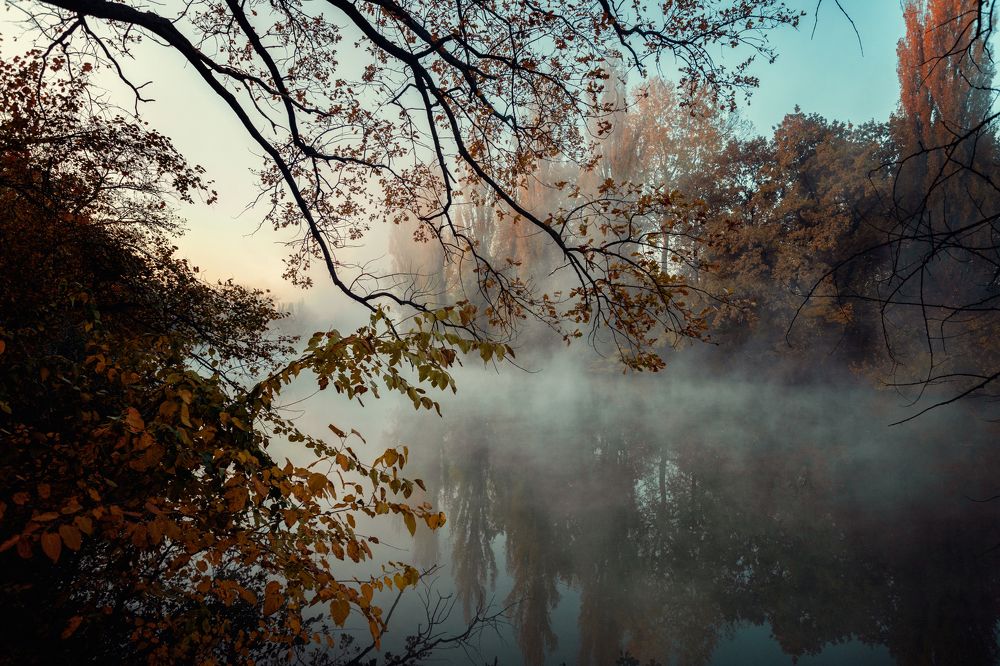 Photograph by EKATERINA WALTER