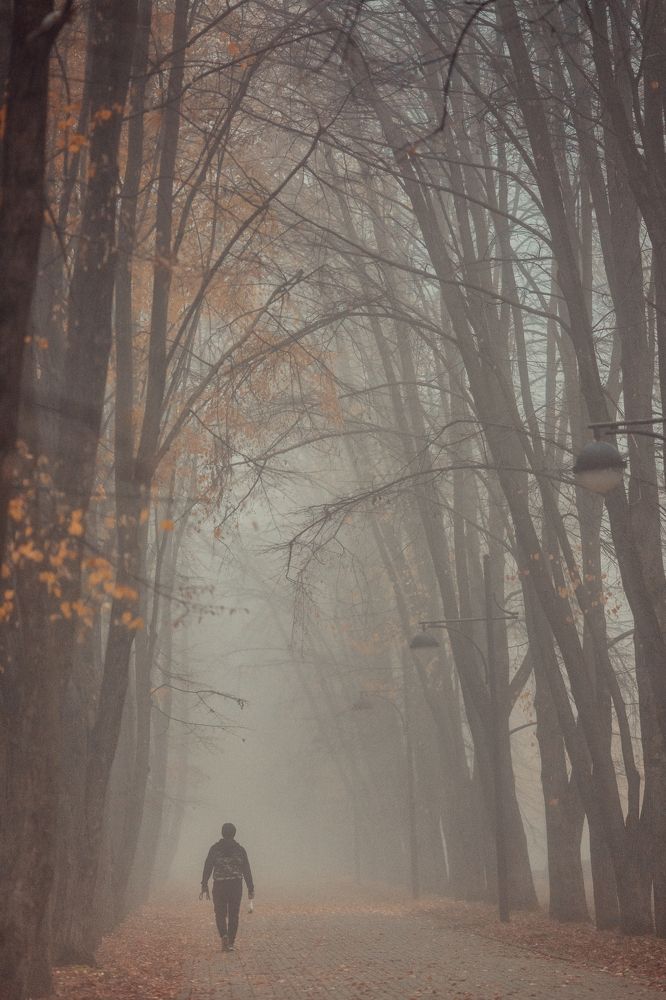 Photograph by EKATERINA WALTER