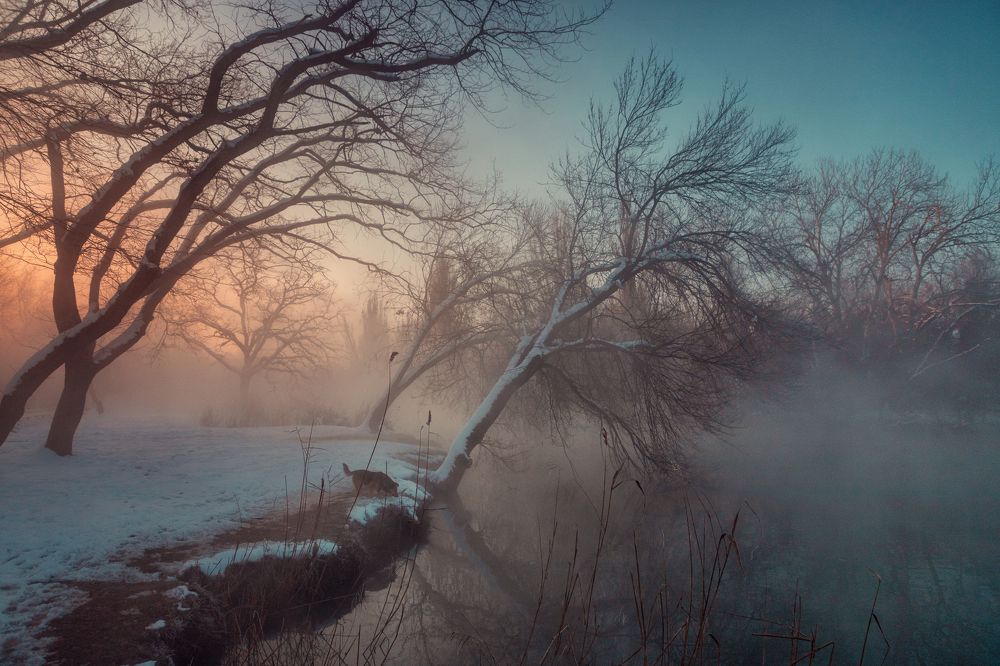 Photograph by EKATERINA WALTER