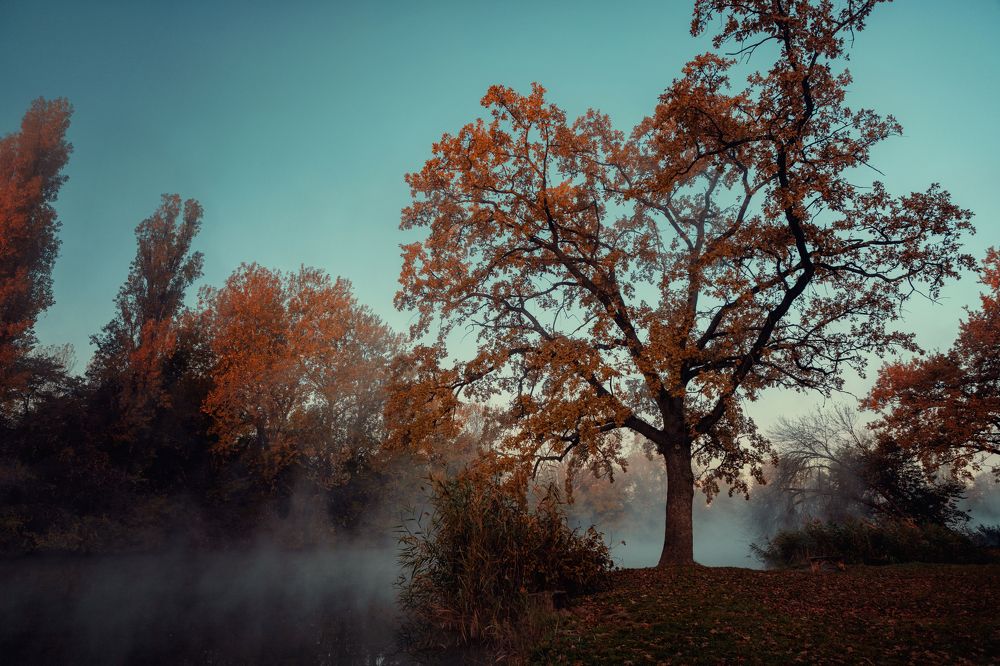 Photograph by EKATERINA WALTER