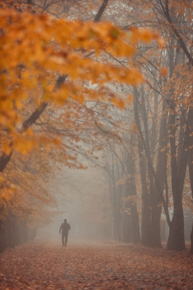 Photograph by EKATERINA WALTER