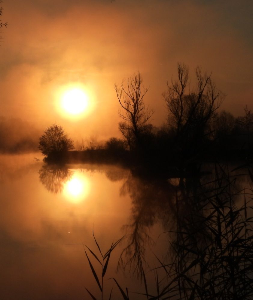 Фотография автора Bastini Gabriele