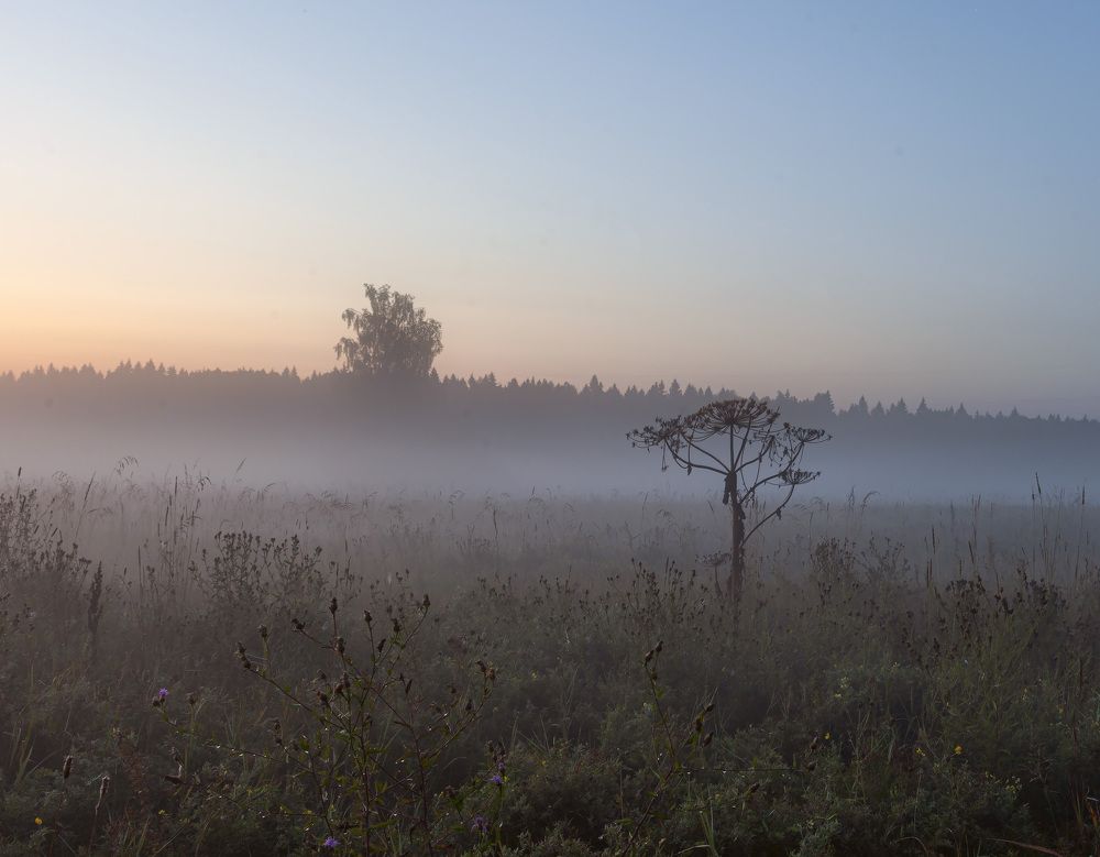 Photograph by Владимир Баулин