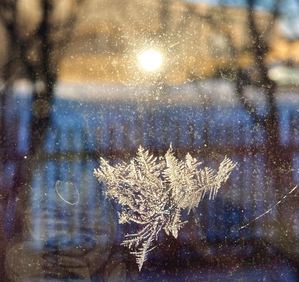 Photograph by София Оторочкина