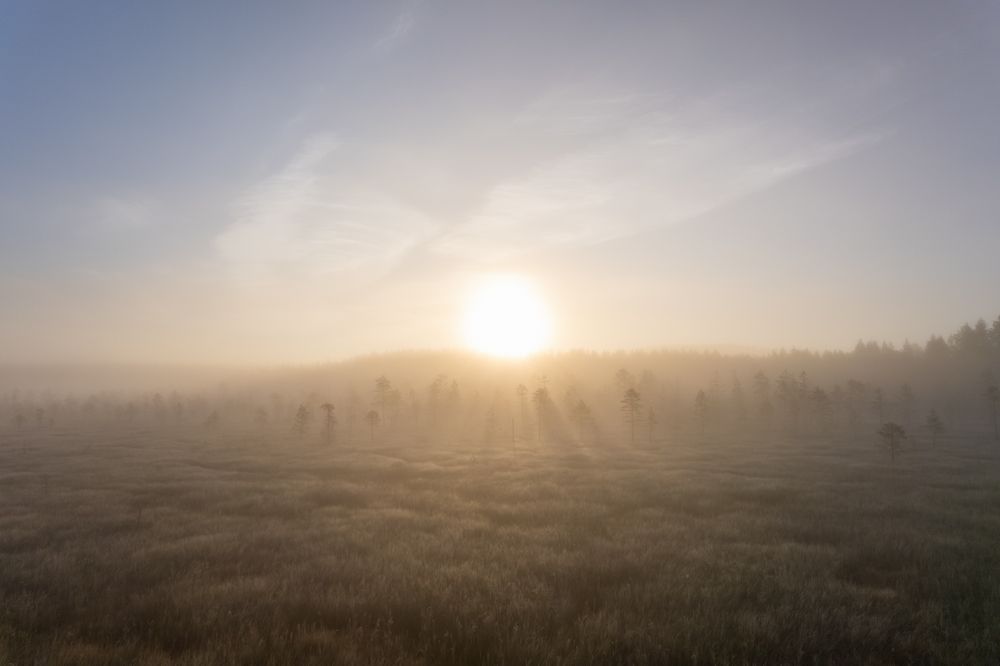 Photograph by Евгений Васильев