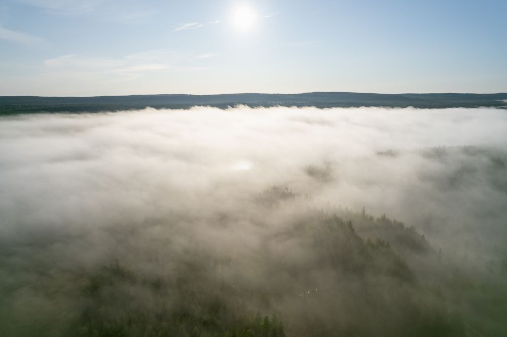 Photograph by Евгений Васильев