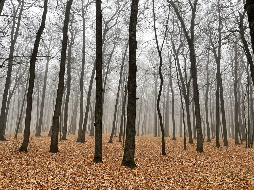 Photograph by Ксения Щербакова