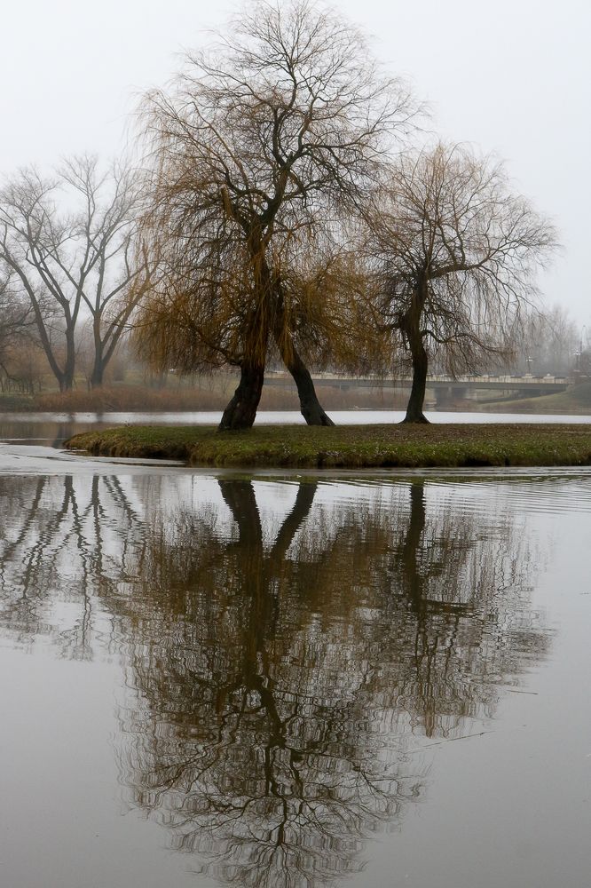 Photograph by Надежда Зайцева