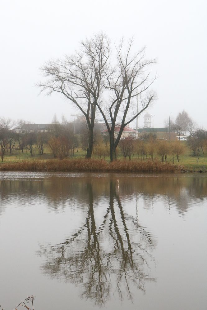 Photograph by Надежда Зайцева