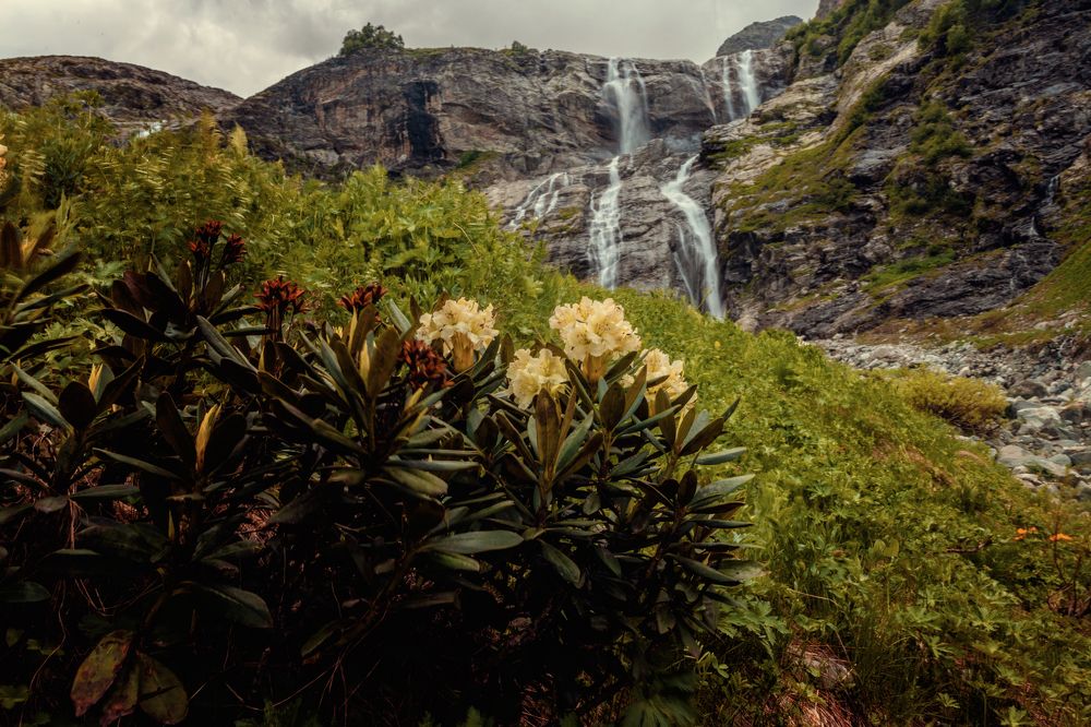 Photograph by EKATERINA WALTER