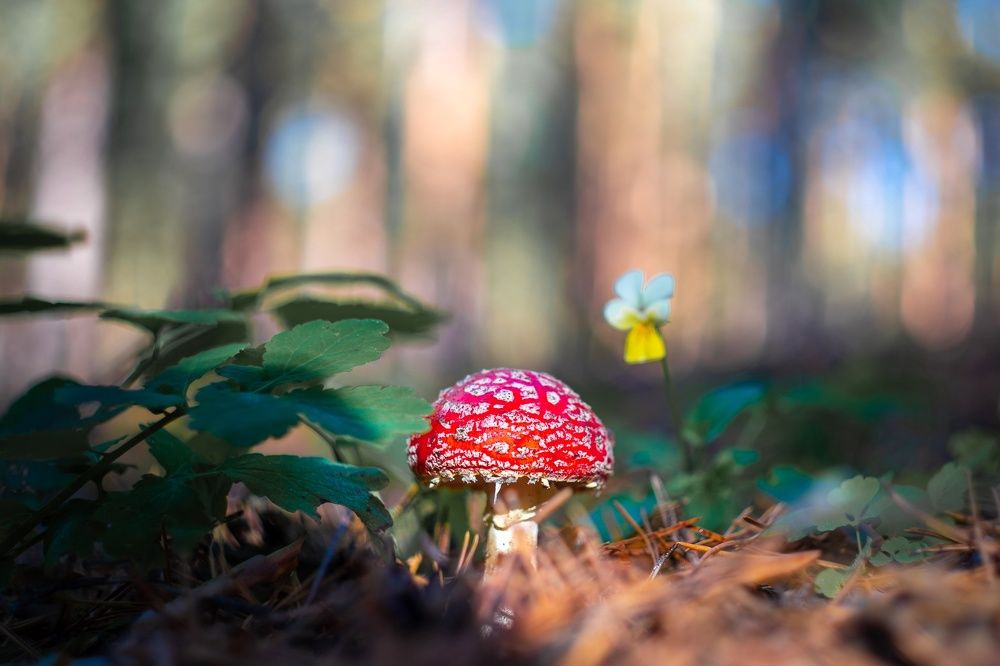 Photograph by Юрий Москалев