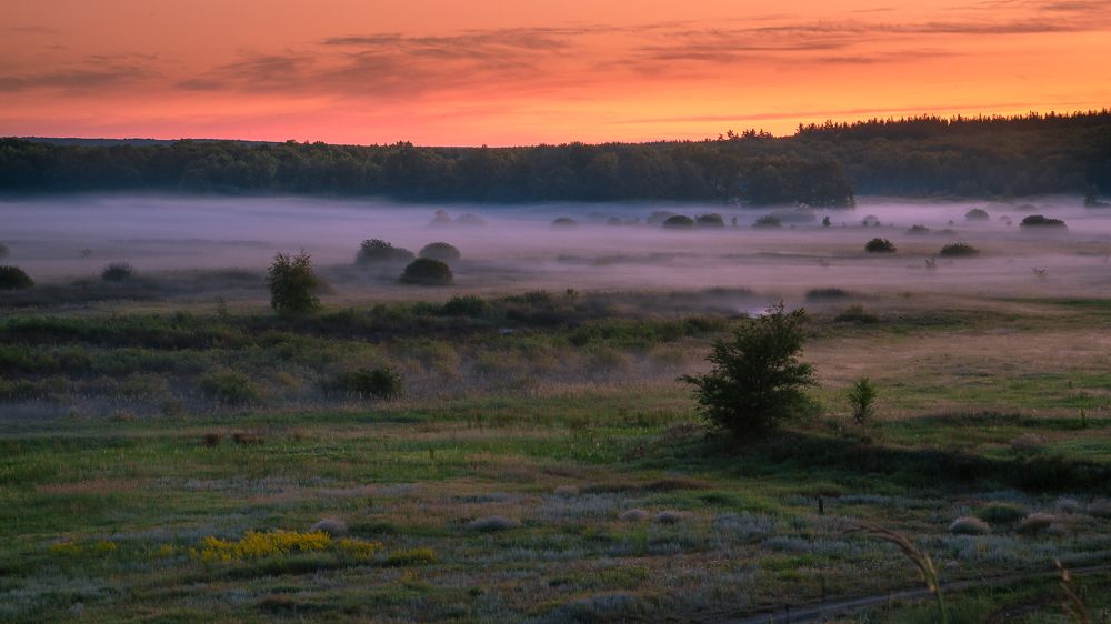 Photograph by Юрий Москалев