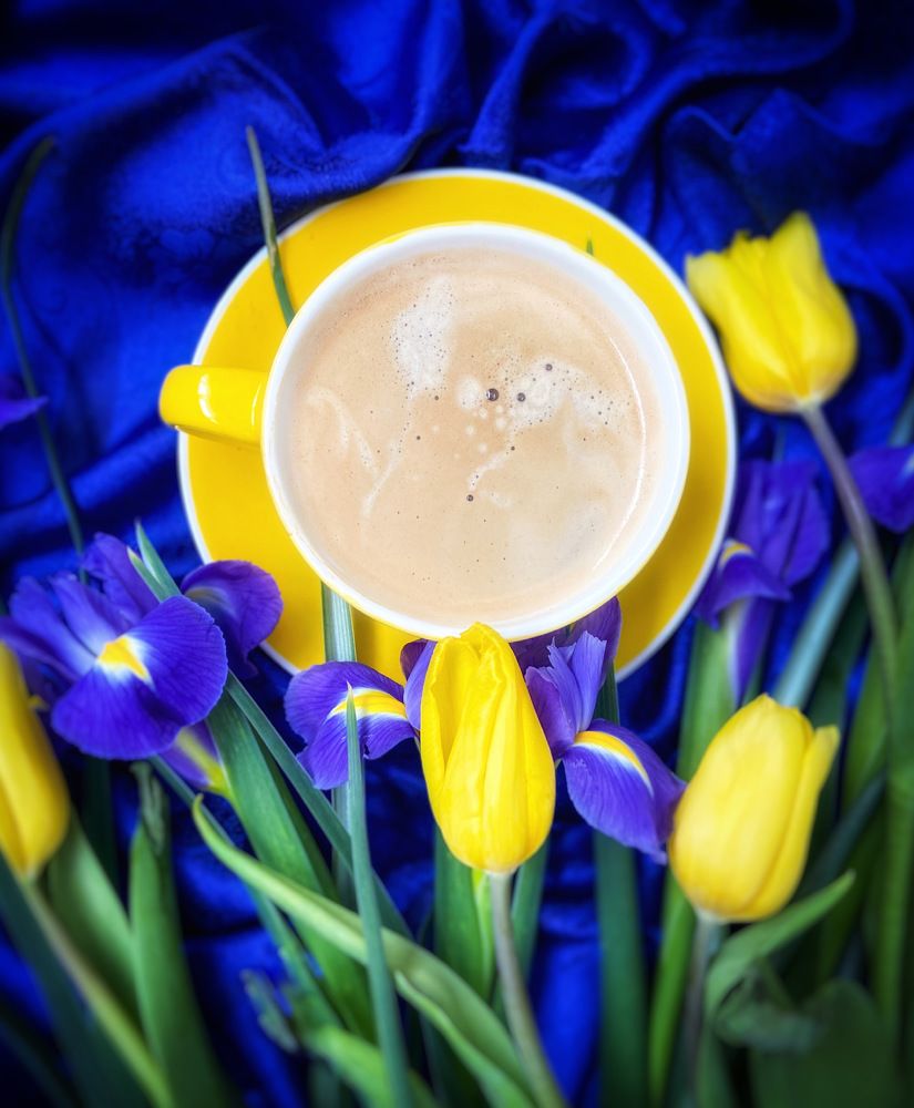 Photograph by Марина Нагичева