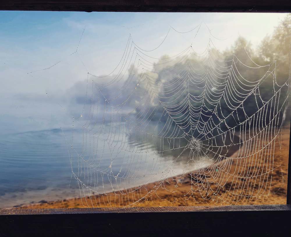 Photograph by Мария