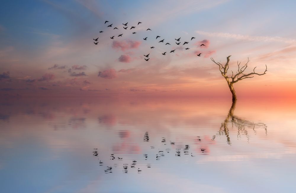 Photograph by Sergio Santamaria