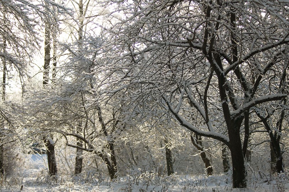 Photograph by Любовь Головина