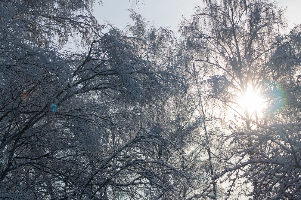 Photograph by Любовь Головина