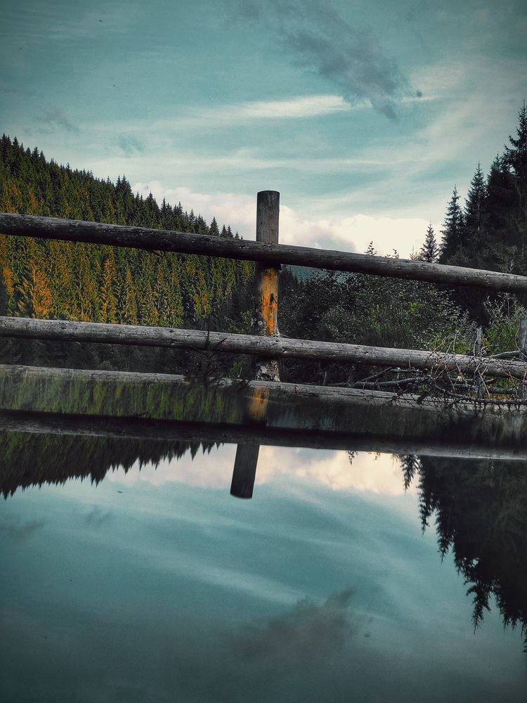 Фотография автора Марина Спильнык