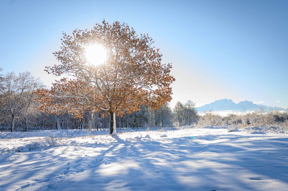 Фотография автора Оксана Белозерская