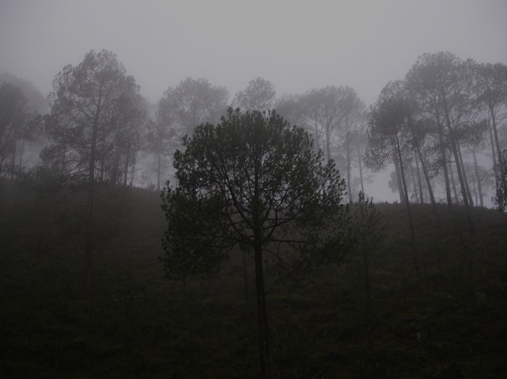 Photograph by Kapil Singh