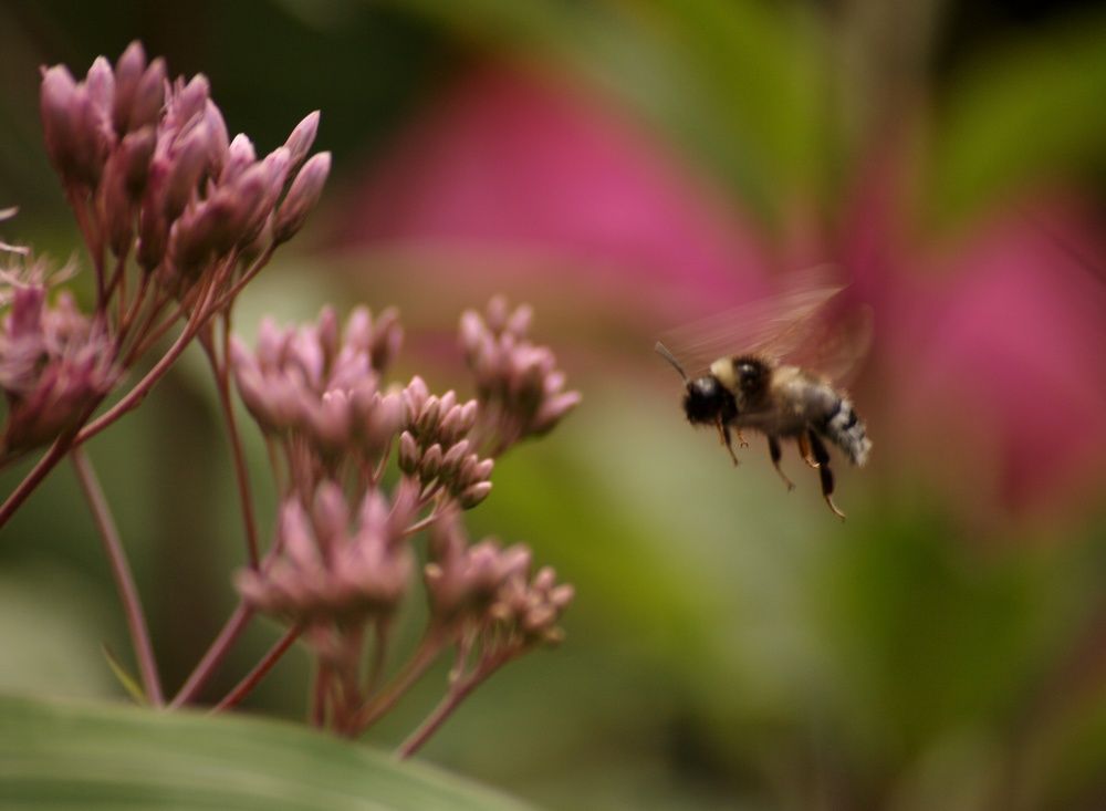 Photograph by Ирина Вассерлауф