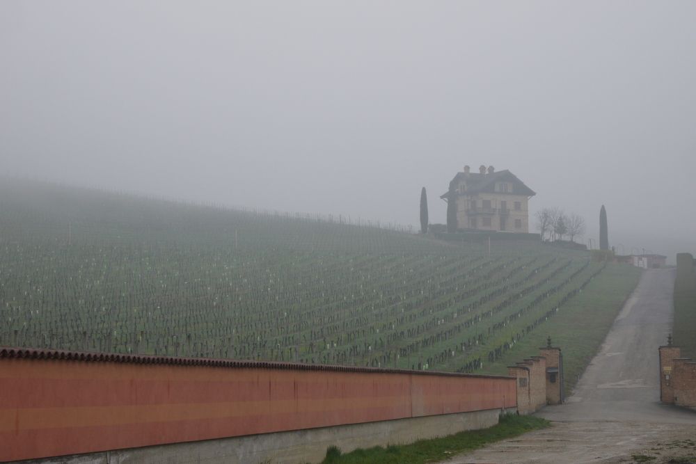 Photograph by sergio maritan