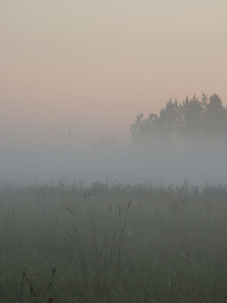 Photograph by Гузель Иванова