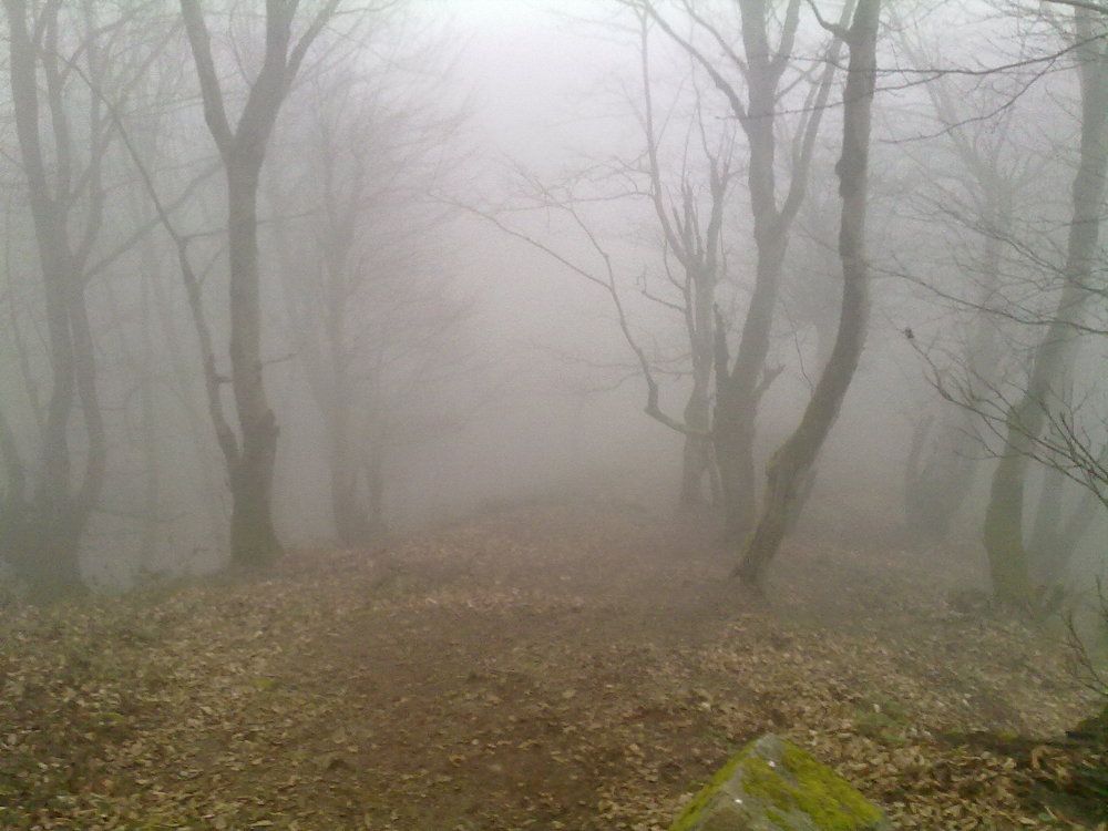 Photograph by Mohammad Amin Ghaffari