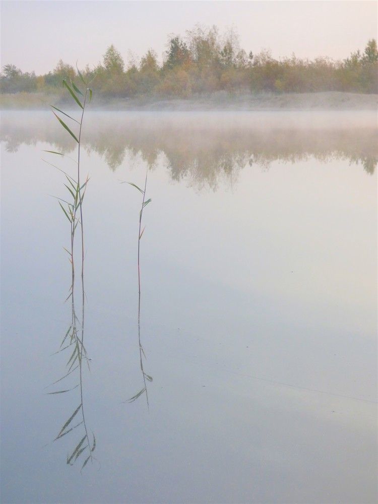 Photograph by Гузель Иванова