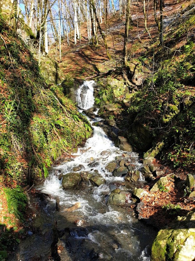 Photograph by Marie G