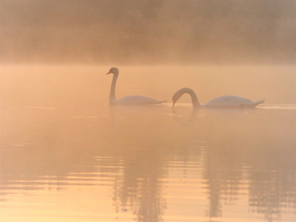 Photograph by Гузель Иванова