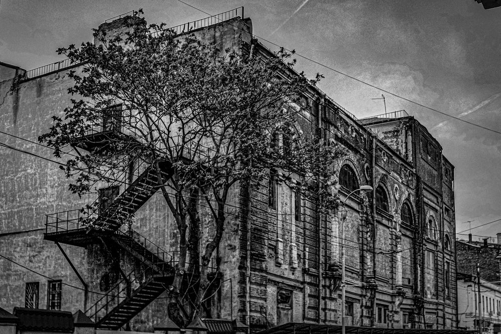 Photograph by Евгений Сальный