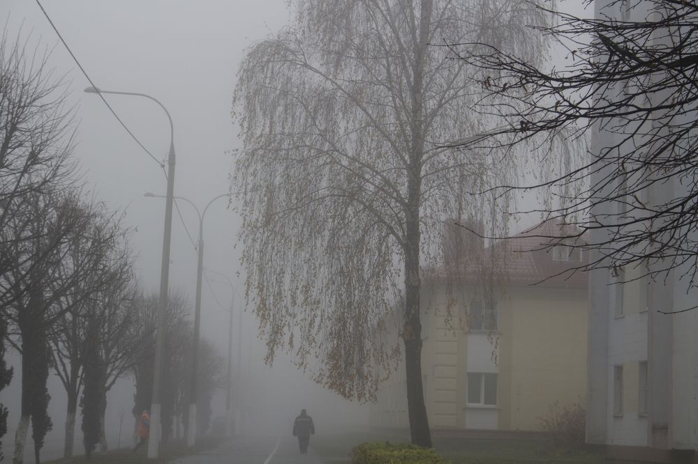 Photograph by Светлана