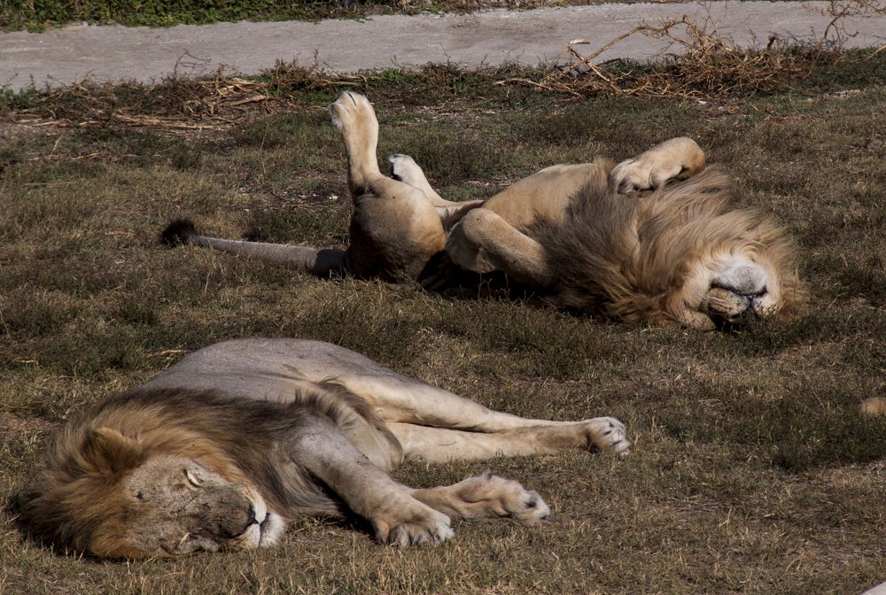 Photograph by Алиса