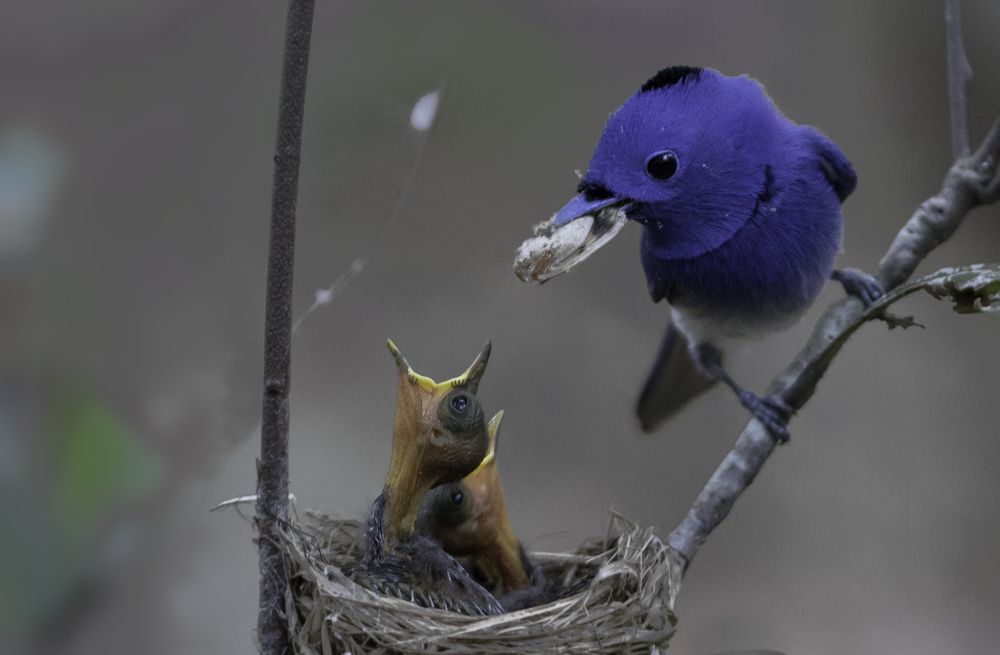 Photograph by Harsha Matarage