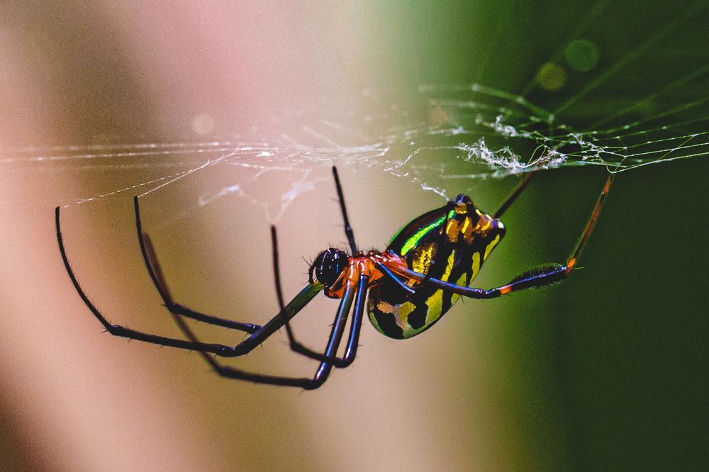 Photograph by Lionel falcao