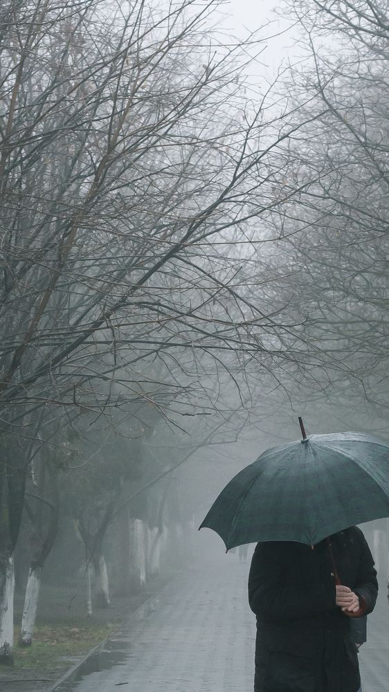 Photograph by Олег Ермаков