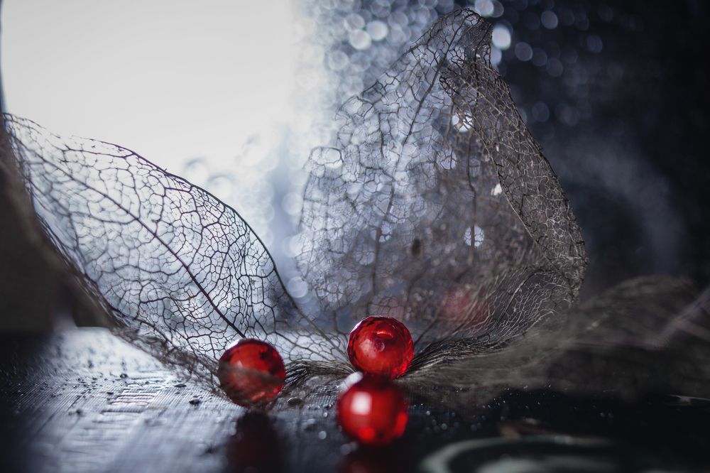 Photograph by Ольга Сергеенко