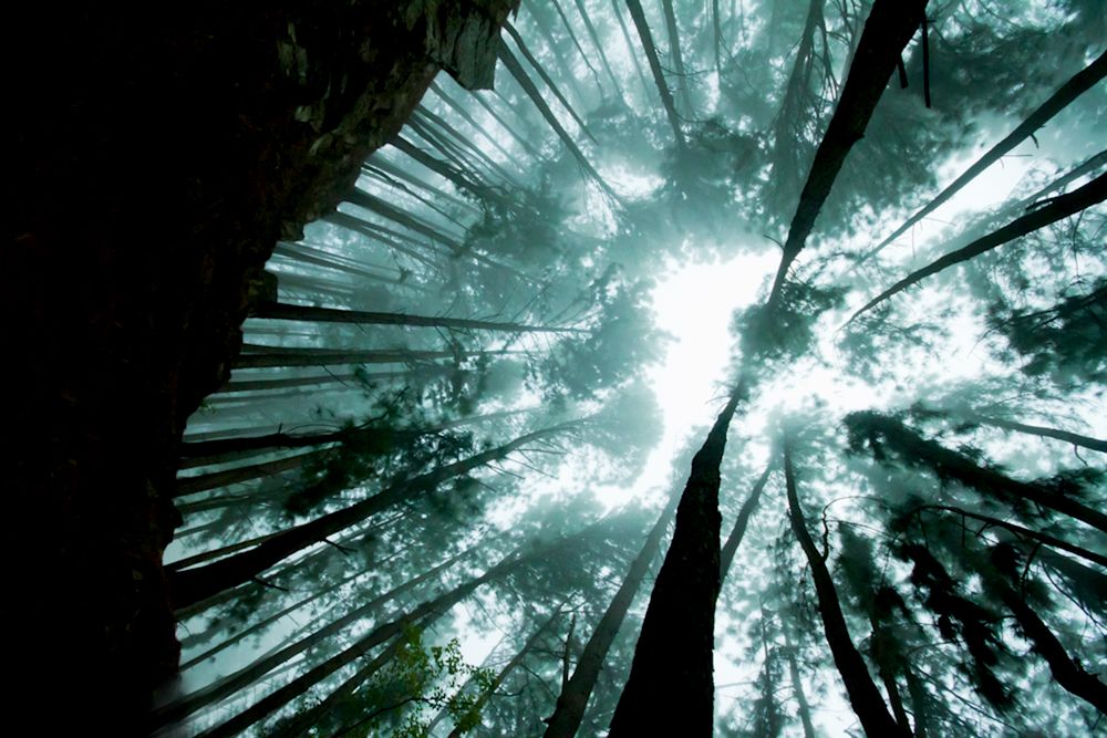 Photograph by Harsha Matarage