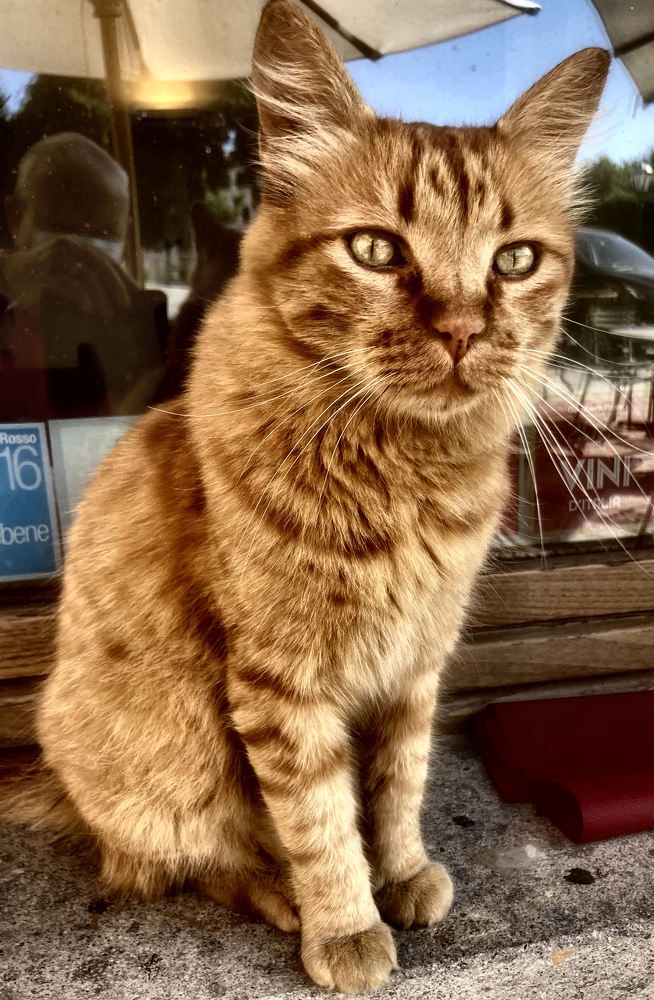 Photograph by sergio maritan