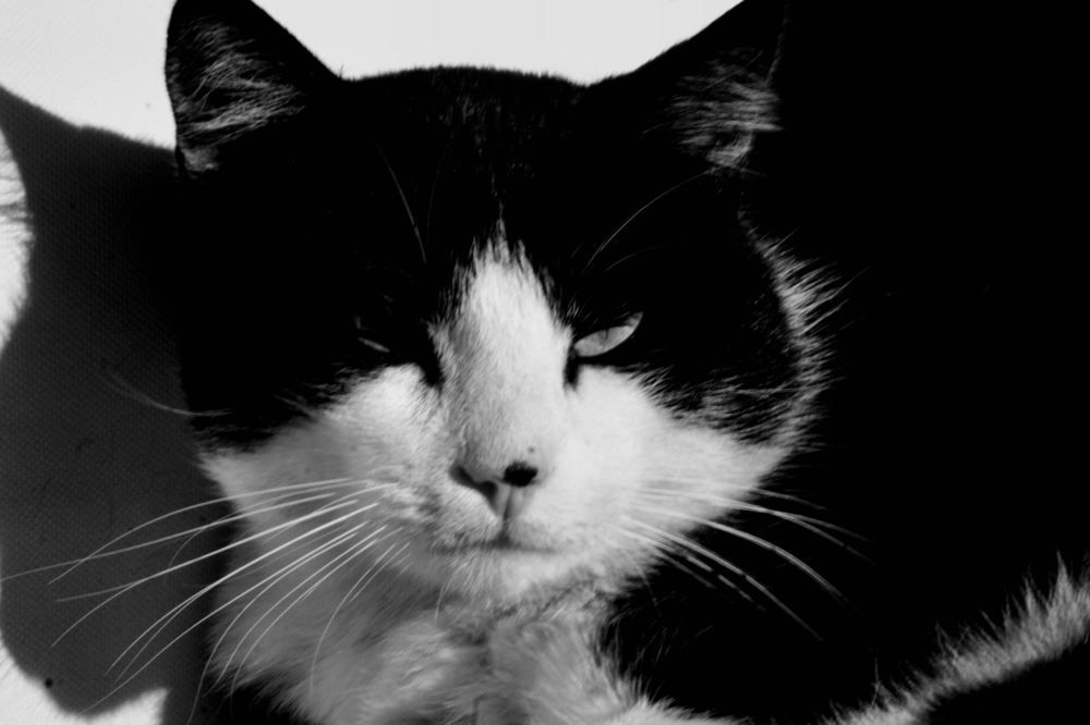 Photograph by sergio maritan