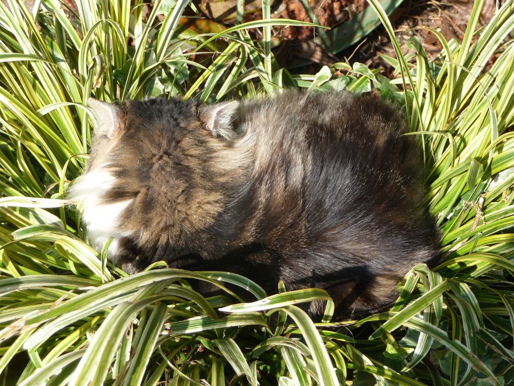 Photograph by sergio maritan